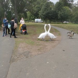 Meet your Posher, Annette